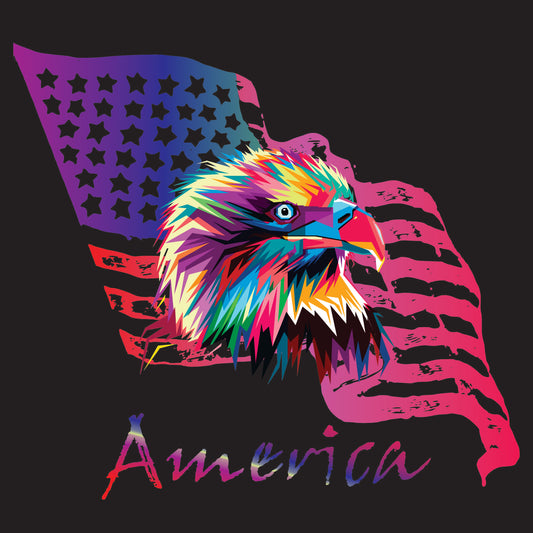 Colorful America Unisex T-shirt